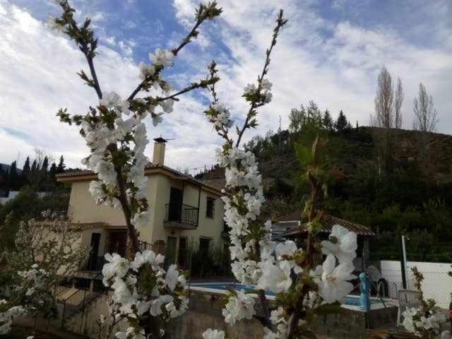 Casa Rural Las Huertas De Roque Monachil Pokój zdjęcie
