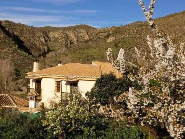 Casa Rural Las Huertas De Roque Monachil Pokój zdjęcie